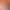 https://shared.akamai.steamstatic.com/store_item_assets/steam/apps/2329300/header.jpg?t=1700543275