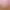 https://shared.akamai.steamstatic.com/store_item_assets/steam/apps/2343110/header.jpg?t=1742309596