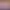 https://shared.akamai.steamstatic.com/store_item_assets/steam/apps/2354000/header.jpg?t=1750245127