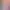 https://shared.akamai.steamstatic.com/store_item_assets/steam/apps/2379770/header.jpg?t=1745756133