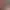 https://shared.akamai.steamstatic.com/store_item_assets/steam/apps/2381690/header.jpg?t=1726442941