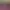 https://shared.akamai.steamstatic.com/store_item_assets/steam/apps/2400690/header.jpg?t=1740306841