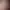 Cabernet.
