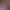 https://shared.akamai.steamstatic.com/store_item_assets/steam/apps/2409780/216a9823746d0ef6761aa797b89596fda11fc5b0/header_alt_assets_0.jpg?t=1752713437