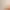 https://shared.akamai.steamstatic.com/store_item_assets/steam/apps/2416500/header.jpg?t=1726004266