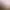 https://shared.akamai.steamstatic.com/store_item_assets/steam/apps/2420660/header.jpg?t=1746009836