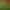 https://shared.akamai.steamstatic.com/store_item_assets/steam/apps/242680/header.jpg?t=1750935489