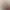 https://shared.akamai.steamstatic.com/store_item_assets/steam/apps/2457220/header.jpg?t=1752606152