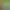 https://shared.akamai.steamstatic.com/store_item_assets/steam/apps/2460920/header.jpg?t=1729359786