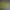 https://shared.akamai.steamstatic.com/store_item_assets/steam/apps/2466990/header.jpg?t=1739107086
