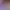 https://shared.akamai.steamstatic.com/store_item_assets/steam/apps/2484020/header.jpg?t=1689932739