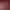 Fetish Room 18+.