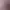 https://shared.akamai.steamstatic.com/store_item_assets/steam/apps/2503780/header.jpg?t=1752730194