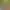 https://shared.akamai.steamstatic.com/store_item_assets/steam/apps/2520290/header.jpg?t=1704239360
