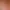 https://shared.akamai.steamstatic.com/store_item_assets/steam/apps/2591410/header.jpg?t=1750833268