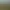 Mount & Blade II: Bannerlord.