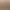 Mount & Blade II: Bannerlord.