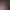 https://shared.akamai.steamstatic.com/store_item_assets/steam/apps/2646250/header.jpg?t=1728182062