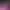 https://shared.akamai.steamstatic.com/store_item_assets/steam/apps/2650630/header.jpg?t=1736505017