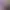 https://shared.akamai.steamstatic.com/store_item_assets/steam/apps/2674930/header.jpg?t=1704194354