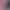 https://shared.akamai.steamstatic.com/store_item_assets/steam/apps/2823460/header.jpg?t=1733035672