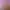 https://shared.akamai.steamstatic.com/store_item_assets/steam/apps/2827230/bcf90f384f71813b75ca1a6a494f63398f6faee5/header.jpg?t=1751551706