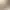 https://shared.akamai.steamstatic.com/store_item_assets/steam/apps/2891040/header.jpg?t=1751245244