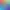 Color Splash: Rodents.