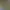 FORCED Deluxe Content.