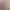 https://shared.akamai.steamstatic.com/store_item_assets/steam/apps/2930700/header.jpg?t=1741182548