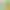 https://shared.akamai.steamstatic.com/store_item_assets/steam/apps/2940040/header.jpg?t=1743677211