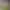 https://shared.akamai.steamstatic.com/store_item_assets/steam/apps/2946030/header.jpg?t=1751388827