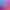 Color Splash: Monkeys.