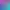 Color Splash: Monkeys.