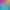 Color Splash: Monkeys.