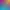Color Splash: Monkeys.