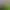 https://shared.akamai.steamstatic.com/store_item_assets/steam/apps/2973700/header.jpg?t=1729432396