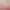 https://shared.akamai.steamstatic.com/store_item_assets/steam/apps/2990180/header.jpg?t=1723725445