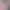 https://shared.akamai.steamstatic.com/store_item_assets/steam/apps/3075020/header.jpg?t=1752421057