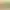 https://shared.akamai.steamstatic.com/store_item_assets/steam/apps/3105620/header.jpg?t=1739385304