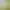 https://shared.akamai.steamstatic.com/store_item_assets/steam/apps/3105980/header.jpg?t=1725649030