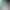 https://shared.akamai.steamstatic.com/store_item_assets/steam/apps/3114620/header.jpg?t=1749826941