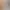 https://shared.akamai.steamstatic.com/store_item_assets/steam/apps/3123520/header.jpg?t=1726717102