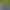 E-Commerce Simulator 2025.
