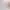 https://shared.akamai.steamstatic.com/store_item_assets/steam/apps/3141130/header.jpg?t=1750937824