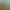 https://shared.akamai.steamstatic.com/store_item_assets/steam/apps/3141340/header.jpg?t=1737635374