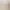 https://shared.akamai.steamstatic.com/store_item_assets/steam/apps/3156370/header.jpg?t=1751814878