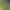 Football Life Simulator.