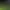 Football Life Simulator.