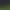 Football Life Simulator.